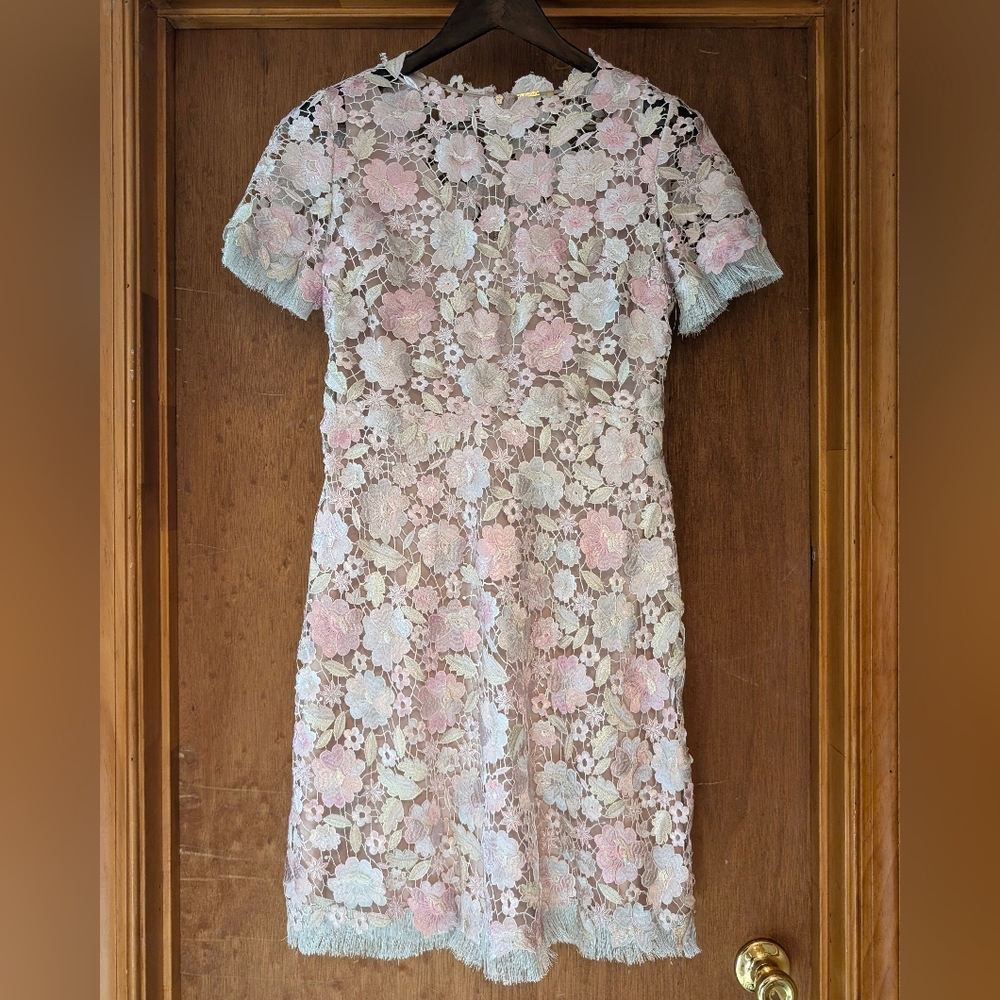 Elie Tahari Sz 6 Pastel Blush Floral Lace Embroidery Midi Dress Fringe Trim